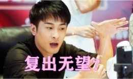 辛巴复出爆料最新消息,最新爆料揭秘幕后真相