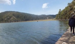 云南跟团爆料事件最新,揭秘团费背后的真相与困境