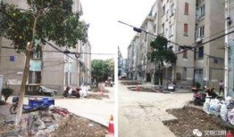 开封老小区爆料案件最新,警方全力侦破中