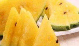 爆料中国吃瓜视频大全最新,热门爆料，趣味横生，带你领略网络热点！