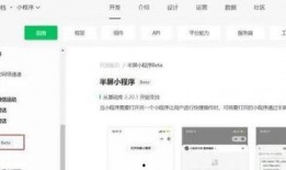 最新焦点爆料小程序下载,揭秘最新小程序下载背后的秘密与趋势