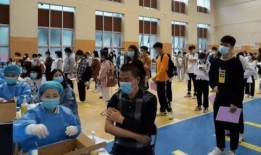 枫丹双子最新爆料消息,揭秘神秘游戏世界背后的秘密与惊喜