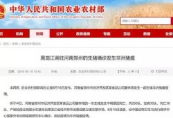泰州今日爆料最新消息视频,视频揭秘今日热点事件！