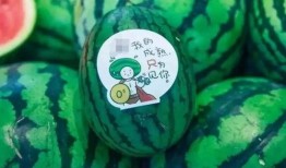 新瓜最新爆料网红是谁啊,网红界新晋风云人物是谁？