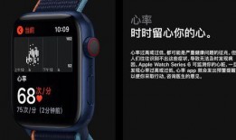 最新文案爆料,行业风向标大揭秘！