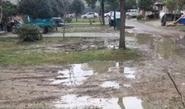 农民小区最新爆料,揭秘小区发展背后的故事