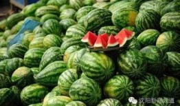 泰国西瓜最新爆料,揭秘神秘事件背后的真相