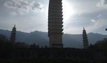 云南跟团爆料事件最新,揭秘团费背后的真相与困境