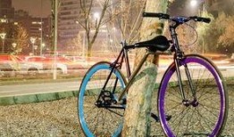 进口自行车爆料案例最新,最新爆料案例深度剖析