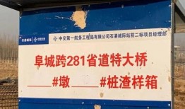 武邑爆料最新消息,揭秘事件背后惊人真相