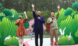 魏县最新事件爆料新闻视频,视频揭秘惊人真相，引发社会关注